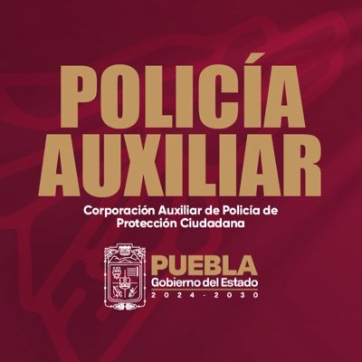 Corporación Auxiliar Policía Protección Ciudadana