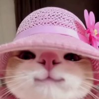 𝙞🧁 (𝙧𝙤𝙢𝙖𝙮𝙚𝙧’𝙨 𝙫𝙚𝙧𝙨𝙞𝙤𝙣)