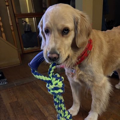 Sarah jane Gillespie