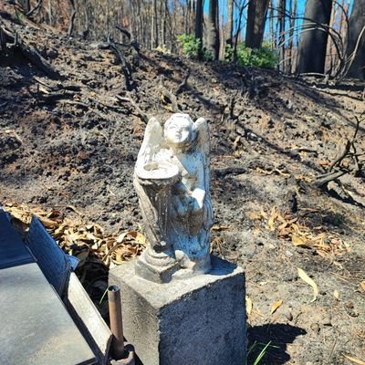 #MauroHidromiel®🚲