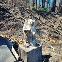 #MauroHidromiel®🚲