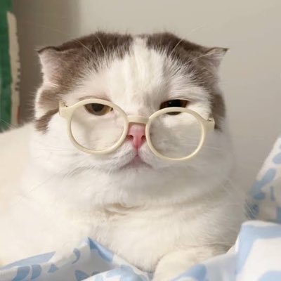 OPEN🟢 แมวแว่นขายไฟล์หนังสือ5บาท