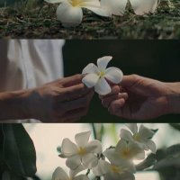 คริสติน่า