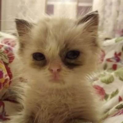 𝑐𝒉𝑖𝑙𝑙𝑖𝑛𝑔 𝑖𝑛 𝑡𝒉𝑒 𝑝𝑒𝑟𝑚𝑎𝑓𝑟𝑜𝑠𝑡