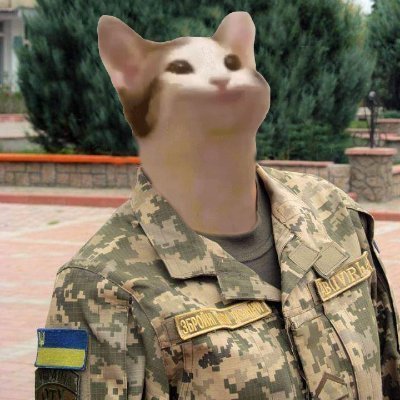 LїckLїck🐈fellacat