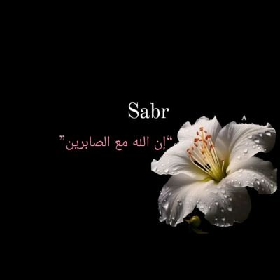 tweets by Alisha raeen