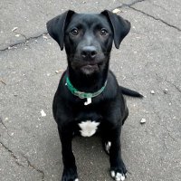 thenebean9💙🌊🏳️‍⚧️🏳️‍🌈