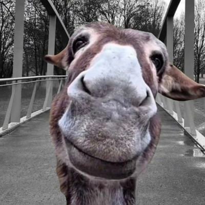 Da Opa Bäda 🍺🥁🤾‍♂️🐕