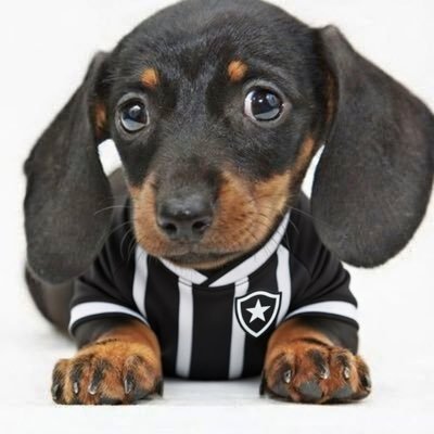 lanu ★彡 🏆🏆|CAMPEÃO MUNDIAL E CAMPEÃO DA AMERICA