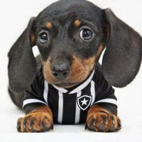 lanu ★彡 🏆🏆|CAMPEÃO MUNDIAL E CAMPEÃO DA AMERICA