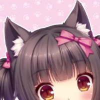 chocola of shedtwt !!