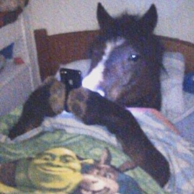 Flow silvano salles 🐊