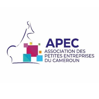 APEC Cameroun