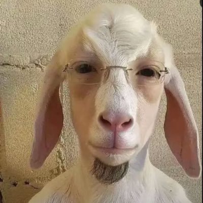 🇷🇪🇲🇦CAMPOS-IN🇧🇷