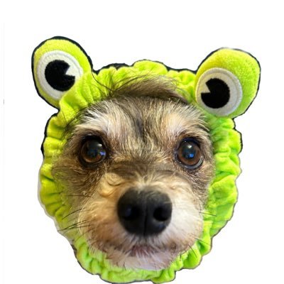 tommy ← ようざん