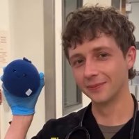 s 🔞🔞 comms open