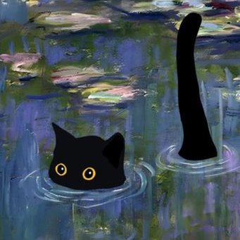 ✶⋆.˚ mandinha ₊⊹