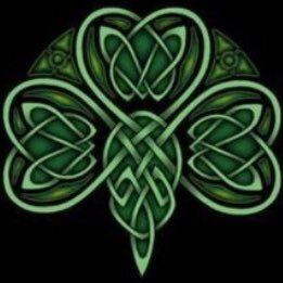 vegy🥕power🥕🐇