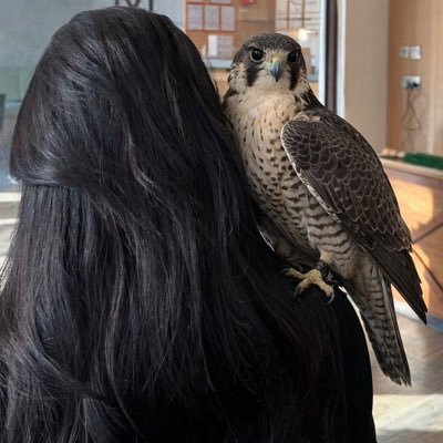 دانـــة 🇸🇦