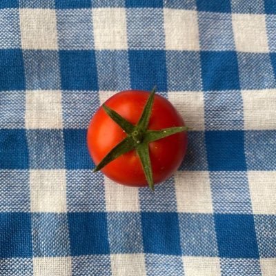 Lottie 🥧༄ ⋆.ೃ