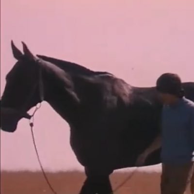 さわー入道諾斎