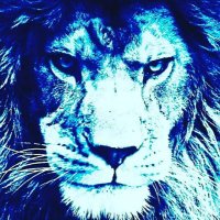 What They Won't Show