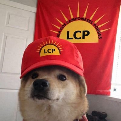 𝗕𝗿𝗮𝘇𝗶𝗹 𝗠𝗮𝗼𝗶𝘀𝘁 ☭︎📕