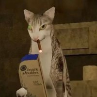 🕳️ Limit 🕳️