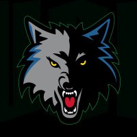 Minnesota Timberwolves