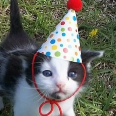 alex ｡･:*:･ﾟ☆