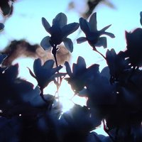 市@れいわ新選組を支持中。