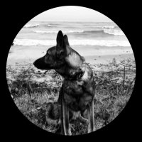 🌲Stained Glass Audio🌲