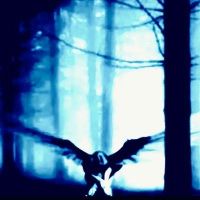 ʇɥƃƖNɐpuoɥR🪶🦅🪶🕯️🗡️🕯️