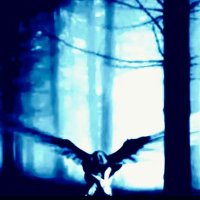 ʇɥƃƖNɐpuoɥR🪶🦅🪶🕯️🗡️🕯️