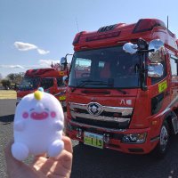 市原のゆいがおー🦖💫