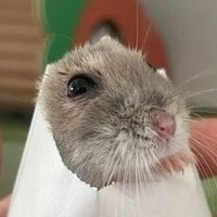 mouse !! shedtwt ☆