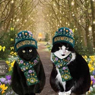 Sally & Sabrina🐾🖤🤍 🐈‍⬛ 🐾🖤🐈‍⬛