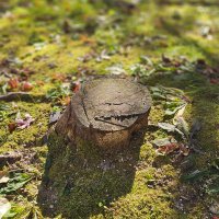 day-ject 데이젝트