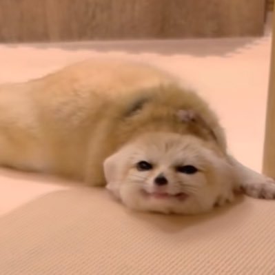 ありがとうありがとう