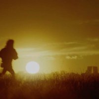 Yam🌜🎶 🎵 VIRAL 🔂