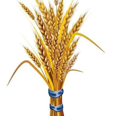 Prosperity Party - ብልፅግና