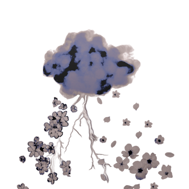 ︎ ︎ ☁︎ ⌁ 𝓕loris 𝓑aratheon ❁