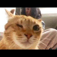 Padme 🦉 || Türk. Oğuz.