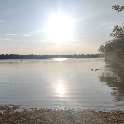 ✨ Bringer of Light ✨