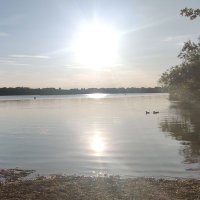 ✨ Bringer of Light ✨