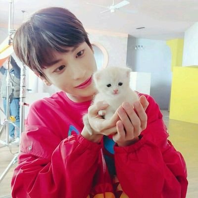 maree ｡°˚ 𐙚🍦𔘓