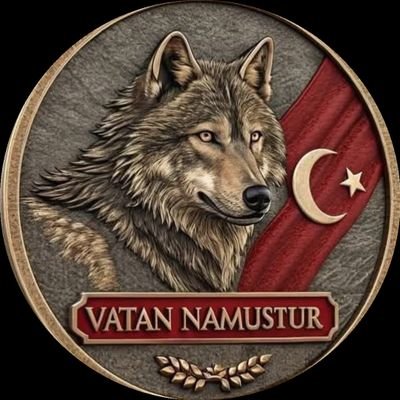 Tek 1 Türk 🇹🇷