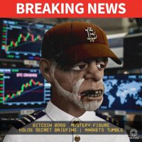 The Little Satoshi News