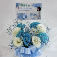 Yu:28(ゆう)🧸🌱