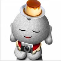 🍮プリンちゃん📷️(ホンモノ)